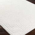 Nomadic Rug - Shaggy Modern Plush Pile - NMC2314 - Ivory - Sizes Available
