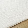 Nomadic Rug - Shaggy Modern Plush Pile - NMC2314 - Ivory - Sizes Available