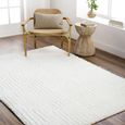 Nomadic Rug - Shaggy Modern Plush Pile - NMC2314 - Ivory - Sizes Available