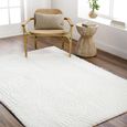 Nomadic Rug - Shaggy Modern Plush Pile - NMC2316 - Ivory - Sizes Available