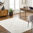 Rodos Rug - Boho Shaggy - RDO2312 - Beige - Sizes Available