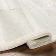 Rodos Rug - Modern Shaggy - RDO2352 - Beige - Sizes Available