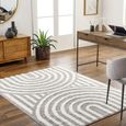 Rodos Rug - Modern Shaggy - Charcoal - Sizes Available