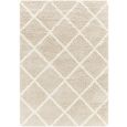 Urban Rug - Shaggy Cottage Plush Pile - USG2319 - Beige - Sizes Available