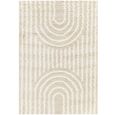 Urban Rug - Shaggy Modern Plush Pile - USG2315 - Beige - Sizes Available