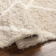 Urban Rug - Shaggy Cottage Plush Pile - USG2319 - Beige - Sizes Available