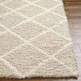 Urban Rug - Shaggy Cottage Plush Pile - USG2319 - Beige - Sizes Available