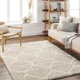Urban Rug - Shaggy Cottage Plush Pile - USG2320 - Beige - Sizes Available