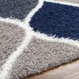 Urban Rug - Shaggy Cottage Plush Pile - Multicolour - Sizes Available