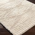 Urban Rug - Shaggy Modern Plush Pile - USG2326 - Beige - Sizes Available
