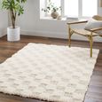 Urban Rug - Shaggy Modern Plush Pile - Beige Checkered - Sizes Available