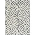 City Rug - Boho Zebra - Charcoal - Sizes Available