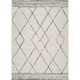 Freud Rug - Ethnic Berber - FEU2322 - Ivory - Sizes Available