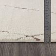 Freud Rug - Modern High Pile Berber - Ivory & Brown - Sizes Available