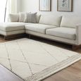 Freud Rug - Modern High Pile Berber - Ivory & Brown - Sizes Available