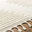 Nora Rug - Global High Pile Berber - Neutral - Sizes Available