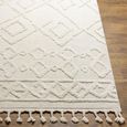 Nora Rug - Ethnic Berber - NOA2300 - Ivory - 160cm x 213cm