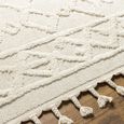 Nora Rug - Ethnic Berber - NOA2300 - Ivory - 160cm x 213cm