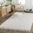 Nora Rug - Ethnic Berber - NOA2300 - Ivory - 160cm x 213cm