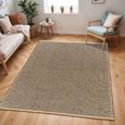 Kimi Rug - Solid & Border Boho Jute - BOKM2305 - Brown - Sizes Available
