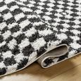 Birmingham Rug - Modern Shaggy Checkered - Ivory & Black - Sizes Available