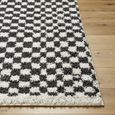 Birmingham Rug - Modern Shaggy Checkered - Ivory & Black - Sizes Available