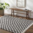 Birmingham Rug - Modern Shaggy Checkered - Ivory & Black - Sizes Available