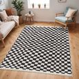 Birmingham Rug - Modern Shaggy Checkered - Ivory & Black - Sizes Available