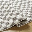 Birmingham Rug - Modern Shaggy Checkered - Ivory & Grey - Sizes Available
