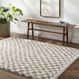 Birmingham Rug - Modern Shaggy Checkered - BMM2322 - Ivory & Tan - Sizes Available