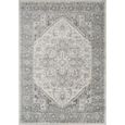 Chester Rug - Oriental Vintage - CHE2312 - Grey - Sizes Available