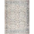Darling Rug - Machine Washable Oriental Boho - BODA2300 - Brown - Sizes Available