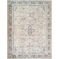 Darling Rug - Machine Washable Oriental Boho - BODA2304 - Brown - Sizes Available
