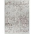Floransa Rug - Oriental Vintage - FSA2381 - Grey - Sizes Available