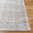 Darling Rug - Machine Washable Oriental Boho - BODA2300 - Brown - Sizes Available