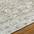Darling Rug - Machine Washable Oriental Boho - BODA2301 - Brown - Sizes Available
