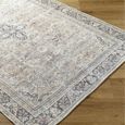 Darling Rug - Machine Washable Oriental Boho - BODA2304 - Brown - Sizes Available