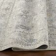 Davina Rug - Oriental Vintage - BOCC2300 - Grey - Sizes Available