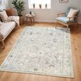 Davina Rug - Oriental Vintage - BOCC2300 - Grey - Sizes Available