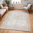 Margot Rug - Oriental Vintage - BOSC2301 - Tan - Sizes Available