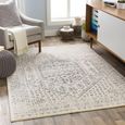 City Rug - Vintage Traditional Oriental Boho - CIT2381 - Beige and Grey - 160cm x 220cm