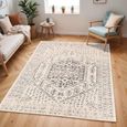 City Rug - Vintage Traditional Oriental Boho - CIT2381 - Beige and Grey - 160cm x 220cm