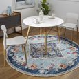 Floransa Round Rug - Oriental - FSA2300 - Light Blue - Sizes Available
