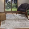 Floransa Rug - Oriental Vintage - FSA2381 - Grey - Sizes Available