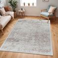 Floransa Rug - Oriental Vintage - FSA2381 - Grey - Sizes Available