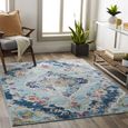 Floransa Rug - Oriental Vintage - FSA2300 - Light Blue - Sizes Available