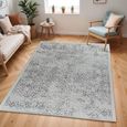 Floransa Rug - Oriental Vintage - FSA2382 - Light Slate - Sizes Available