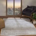 Floransa Rug - Oriental Vintage - FSA2386 - Light Slate - 160cm x 215cm