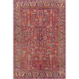 Iris Rug - Vintage Oriental Boho - IRS2332 - Burnt Orange - Sizes Available
