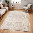 Indigo Rug - Oriental Vintage - IGO2306 - Grey - Sizes Available